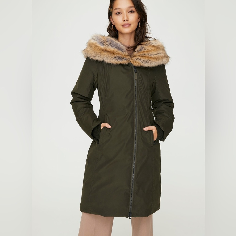 Aritzia Babaton St. Moritz Parka